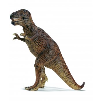image_Tyrannosaurus