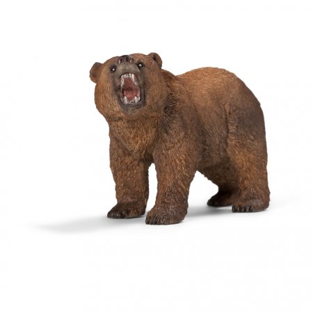 image_Ours_grizzly