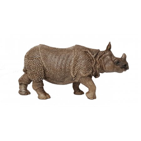 image_Rhinoceros_indien
