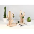 dyn_image1_1867299363_Cactus_png