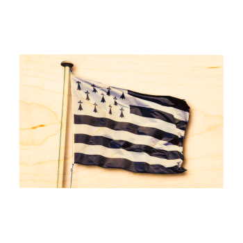 image_carte_postale_drapeau_breton